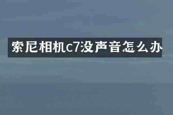 索尼相机c7没声音怎么办