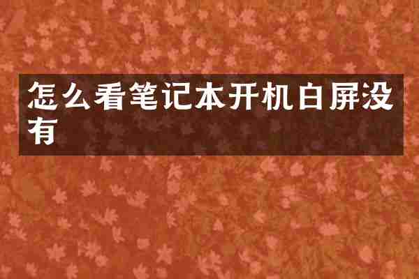 怎么看笔记本开机白屏没有