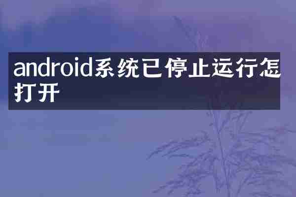 android系统已停止运行怎么打开