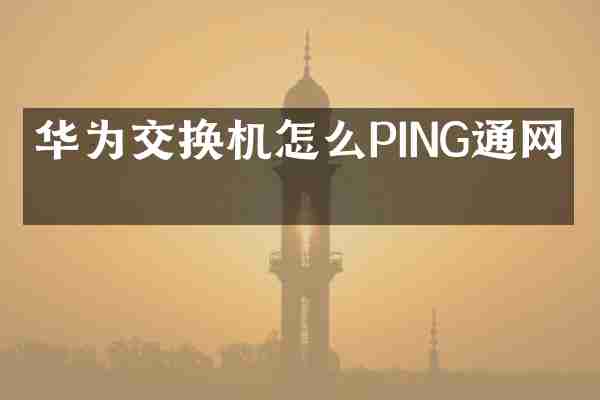 华为交换机怎么PING通网站