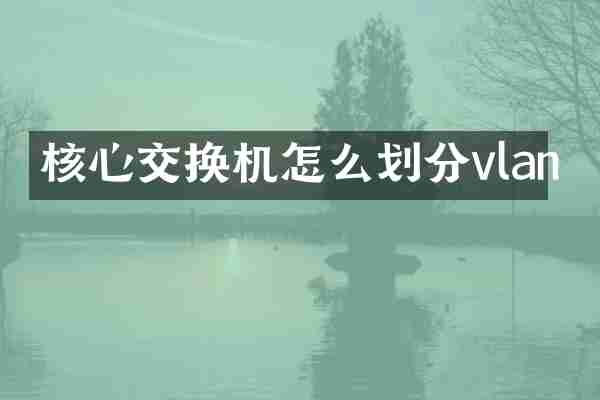 核心交换机怎么划分vlan