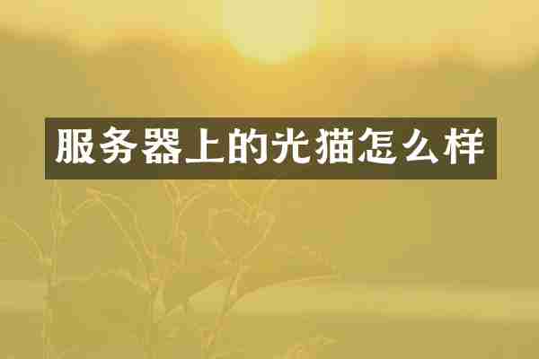 服务器上的光猫怎么样