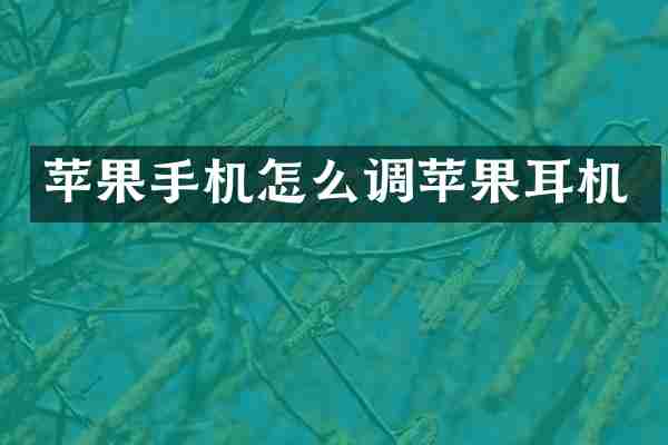 苹果手机怎么调苹果耳机