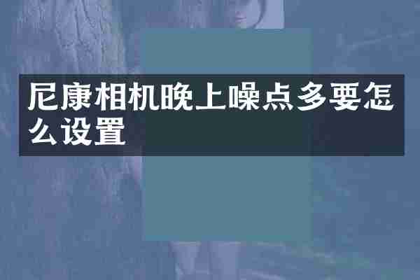 尼康相机晚上噪点多要怎么设置
