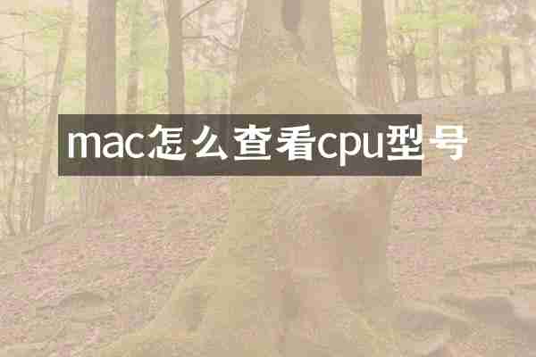 mac怎么查看cpu型号