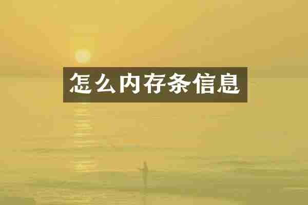怎么内存条信息