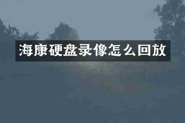 海康硬盘录像怎么回放