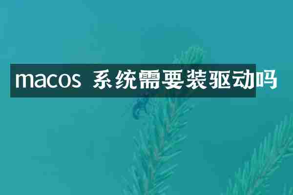 macos 系统需要装驱动吗