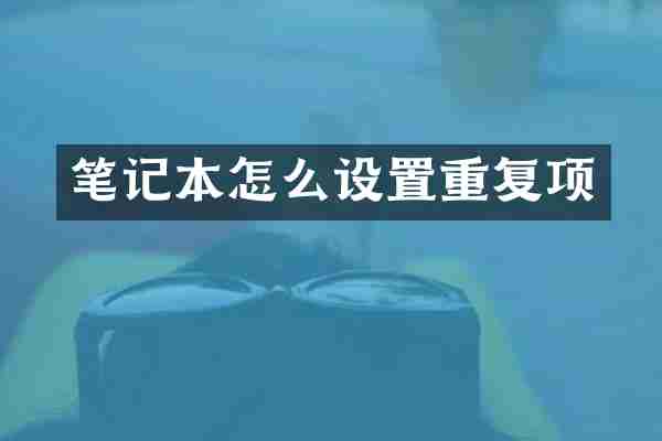 笔记本怎么设置重复项