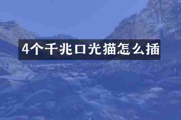 4个千兆口光猫怎么插