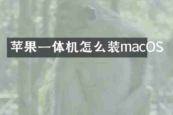 苹果一体机怎么装macOS