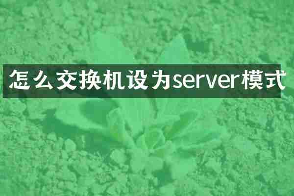 怎么交换机设为server模式