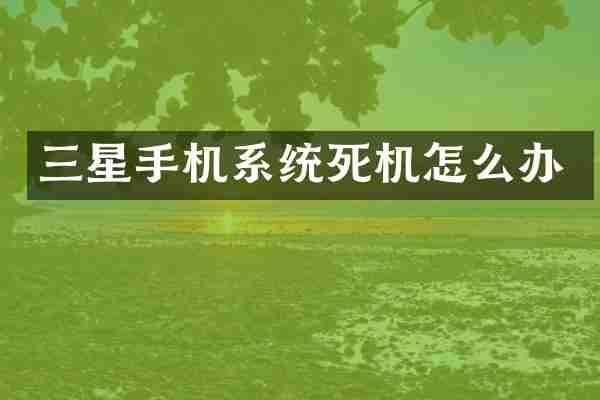 三星手机系统死机怎么办
