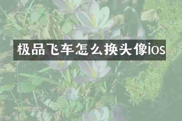 极品飞车怎么换头像ios