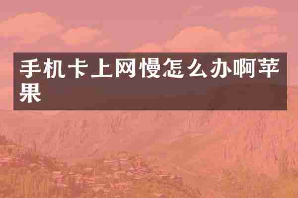 手机卡上网慢怎么办啊苹果