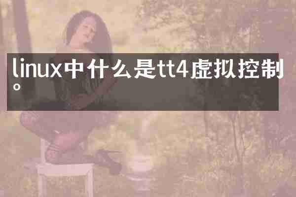 linux中什么是tt4虚拟控制台