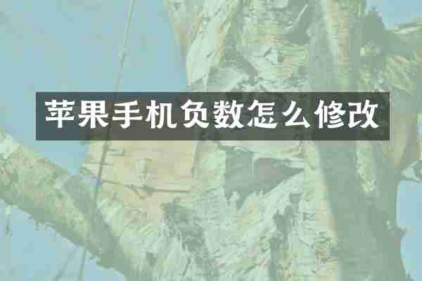 苹果手机负数怎么修改
