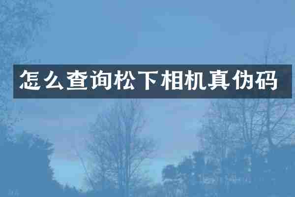 怎么查询松下相机真伪码