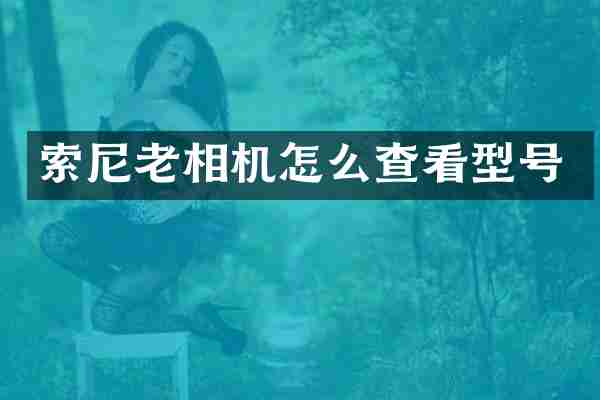 索尼老相机怎么查看型号
