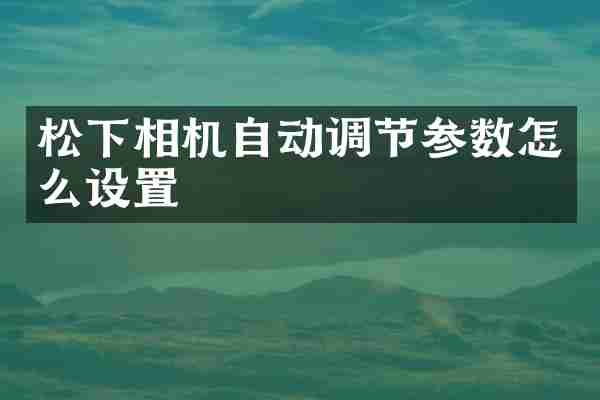 松下相机自动调节参数怎么设置