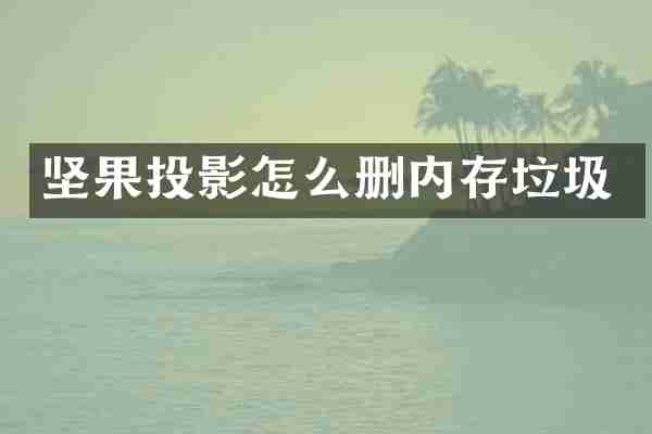 坚果投影怎么删内存垃圾