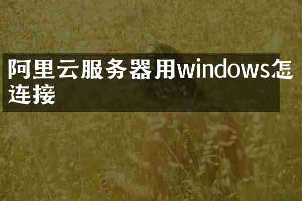 阿里云服务器用windows怎么连接