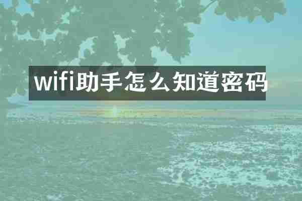 wifi助手怎么知道密码