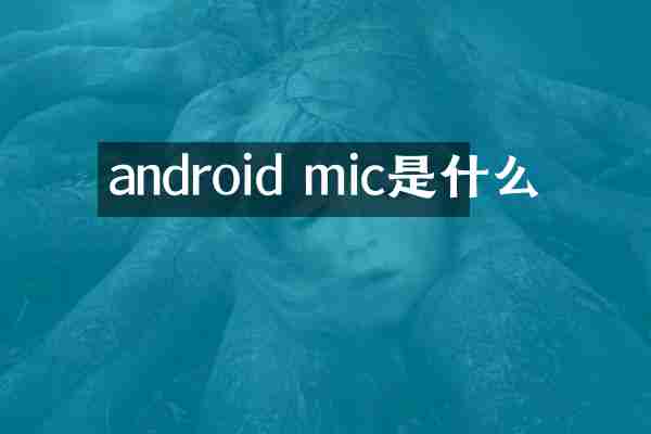 android mic是什么