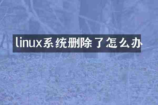 linux系统删除了怎么办