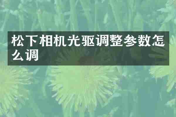 松下相机光驱调整参数怎么调