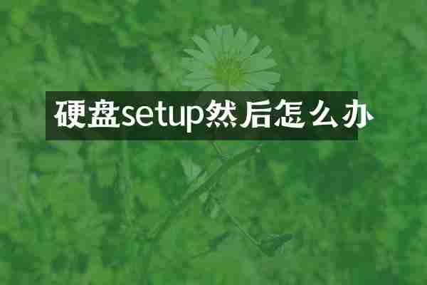 硬盘setup然后怎么办