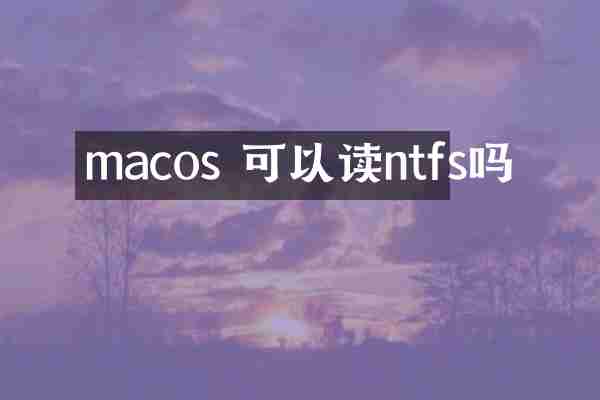 macos 可以读ntfs吗