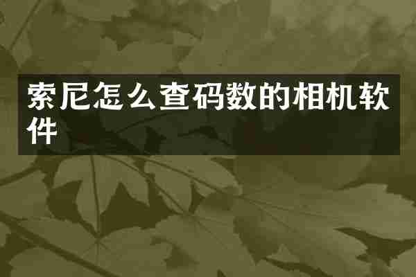 索尼怎么查码数的相机软件
