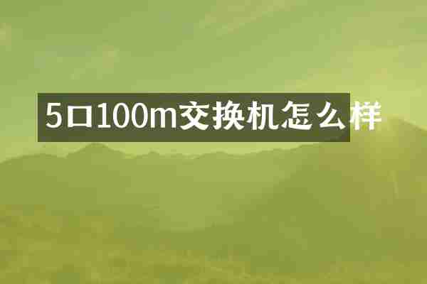 5口100m交换机怎么样