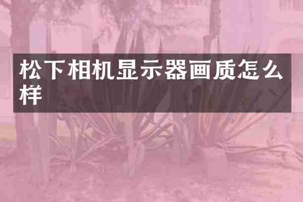 松下相机显示器画质怎么样
