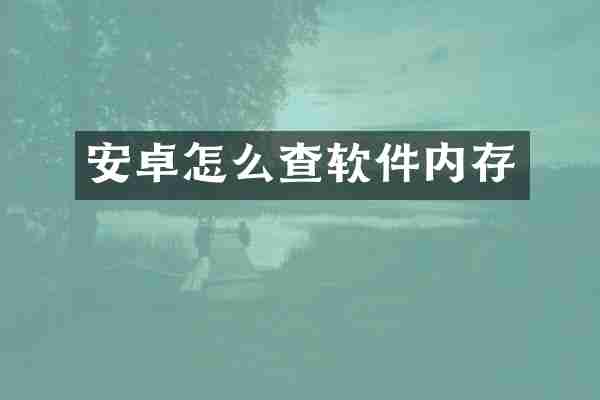 安卓怎么查软件内存