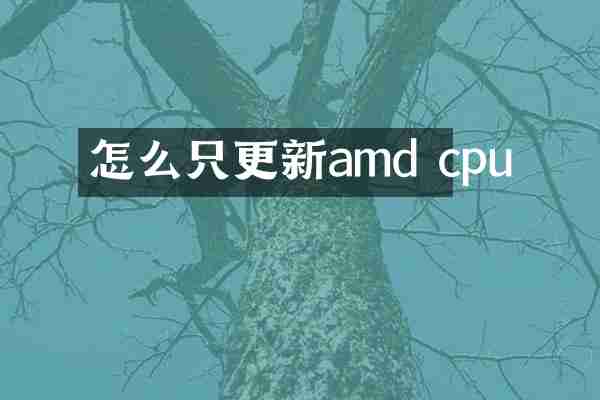 怎么只更新amd cpu
