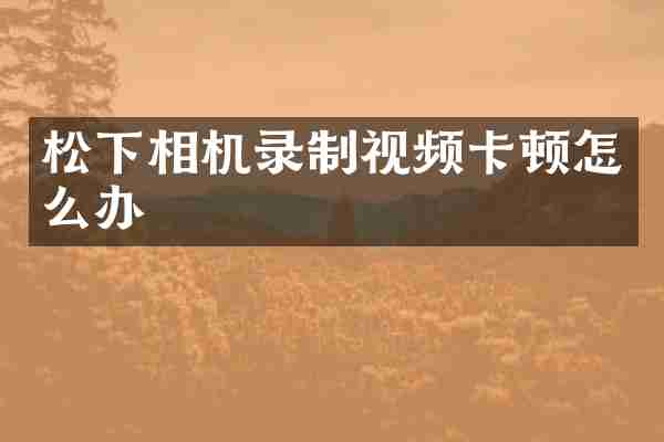 松下相机录制视频卡顿怎么办