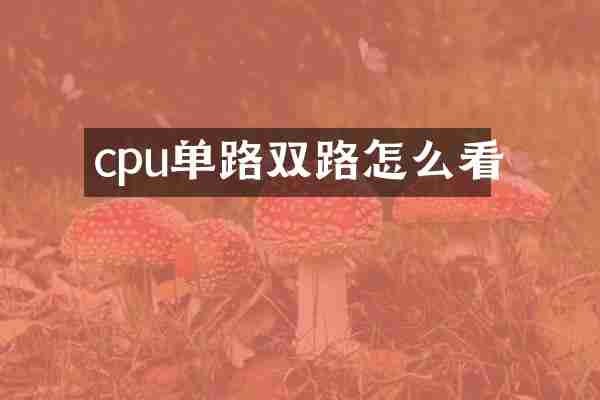 cpu单路双路怎么看