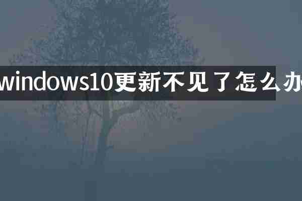 windows10更新不见了怎么办