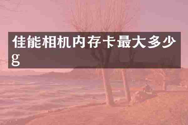 佳能相机内存卡最大多少g