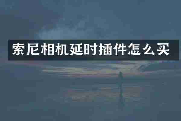 索尼相机延时插件怎么买