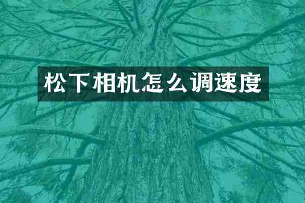 松下相机怎么调速度