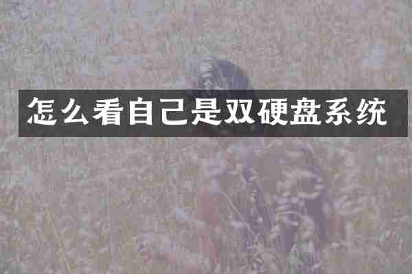 怎么看自己是双硬盘系统