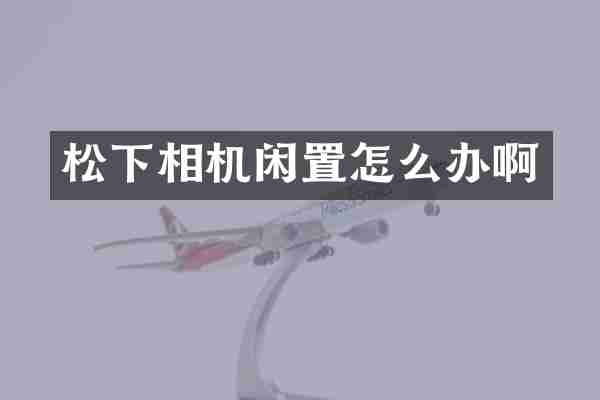 松下相机闲置怎么办啊