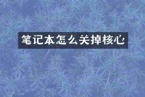 笔记本怎么关掉核心