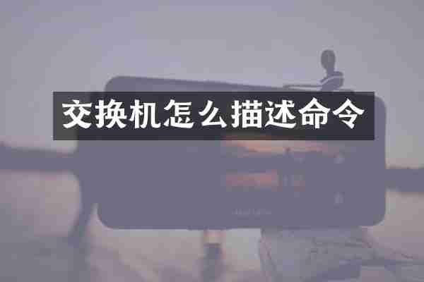 交换机怎么描述命令