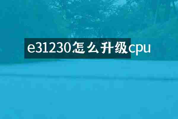 e31230怎么升级cpu