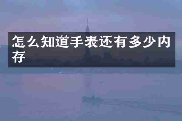 怎么知道手表还有多少内存