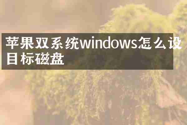 苹果双系统windows怎么设置目标磁盘